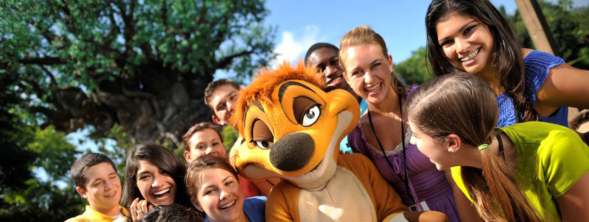 Animal Kingdom Timon and Students